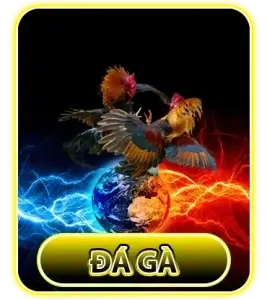 da-ga-nha-cai-c54