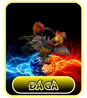 da-ga-tai-c54