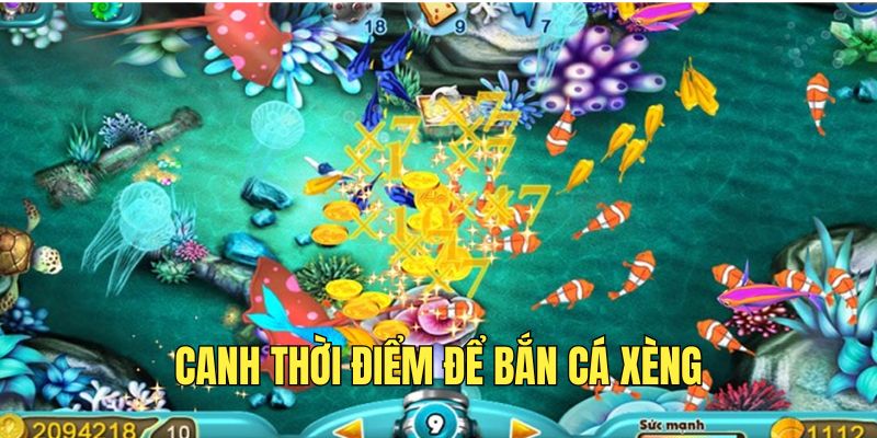 canh-thoi-diem-vang-de-ban-ca-chuan-xac