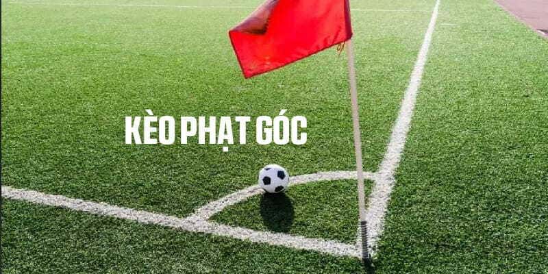diem-danh-mot-so-hinh-thuc-ca-cuoc-cua-ty-le-keo-phat-goc