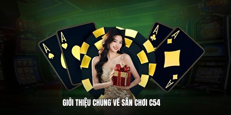 gioi-thieu-khai-quat-thong-tin-ve-san-choi-c54