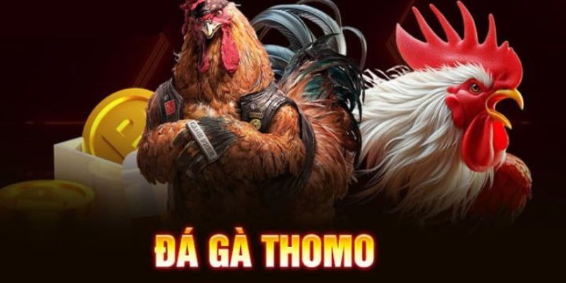 tim-hieu-khai-quat-ve-da-ga-thomo-c54