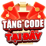 tang-code-c54